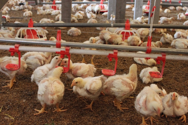 水線(xiàn)終端組件